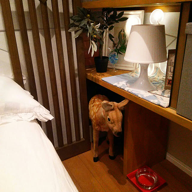 spinetailさんの実例写真