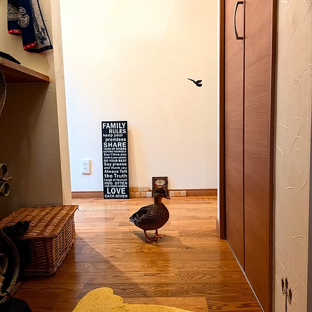akiさんの実例写真