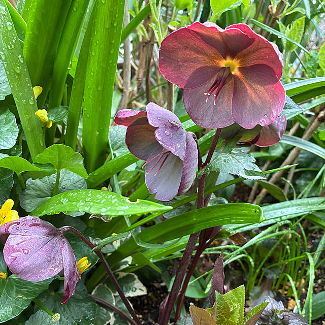 romiromiさんの実例写真