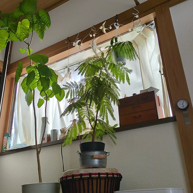 popoさんの実例写真