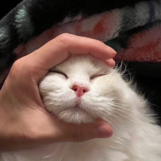 AYUKOさんの実例写真