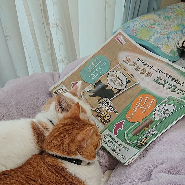 NOAHさんの実例写真