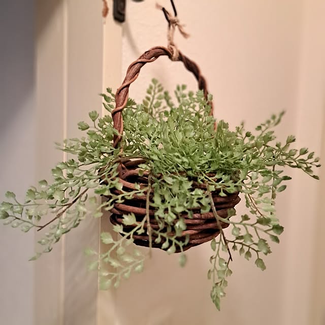 shinoさんの部屋