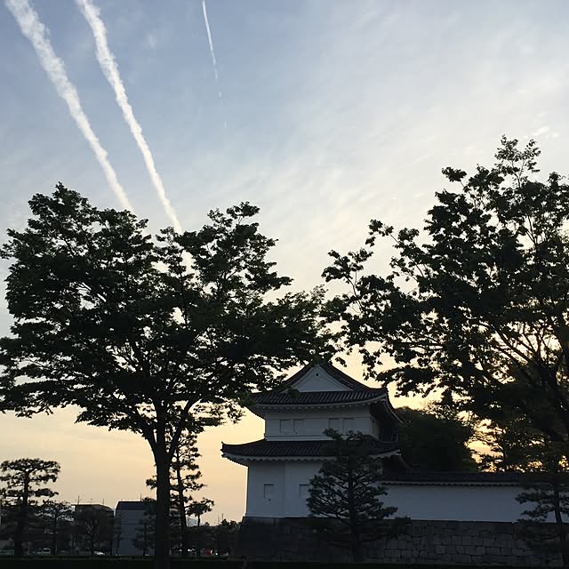 実例写真
