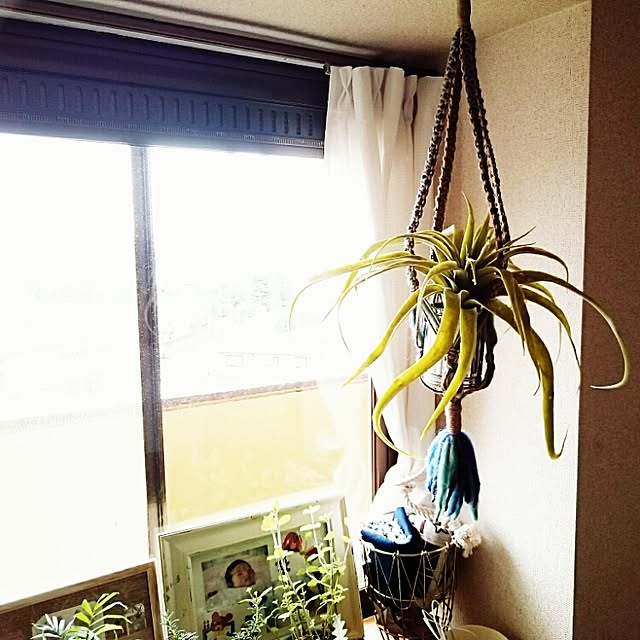 maiさんの実例写真