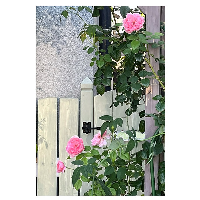seiseiさんの部屋