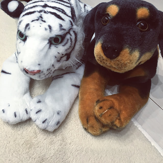 yuuuchan5さんの実例写真