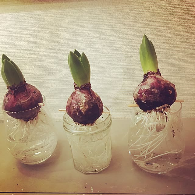 aurelieさんの実例写真