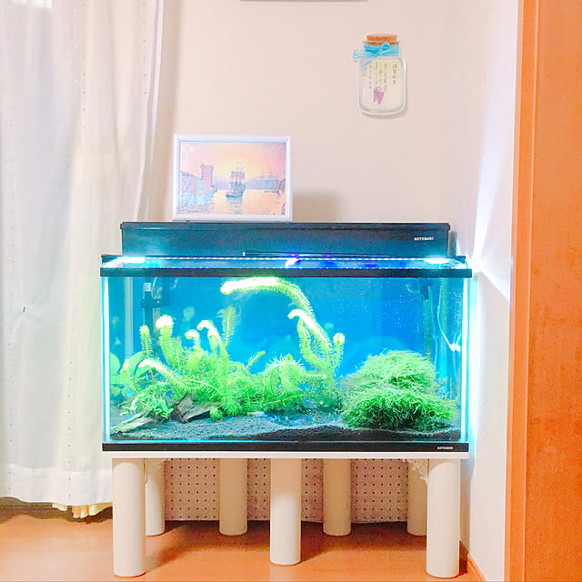satoさんの実例写真