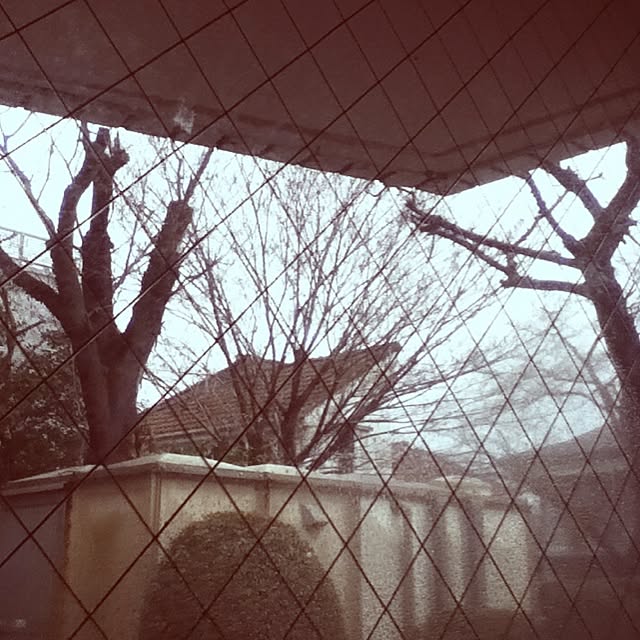 emichanbooさんの実例写真