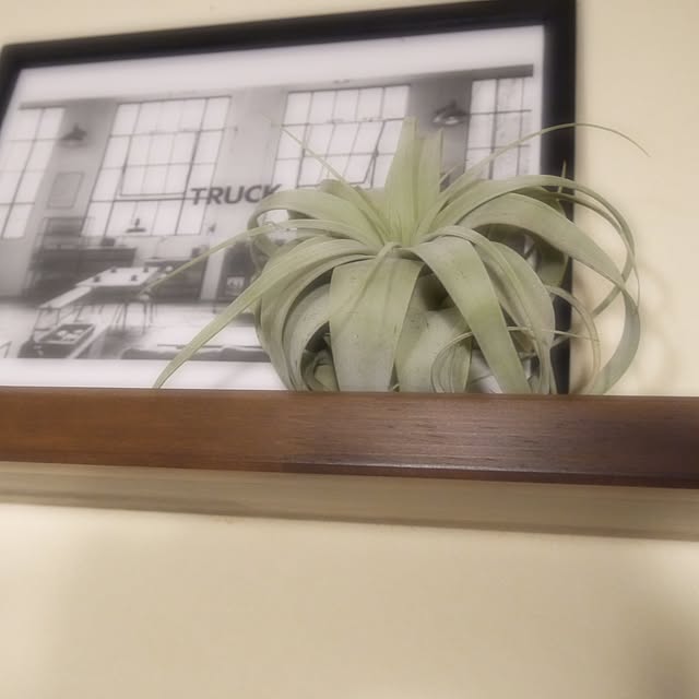 SLRNさんの実例写真