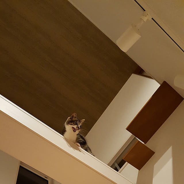 mugikoさんの実例写真