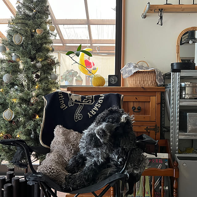 ranranさんの実例写真