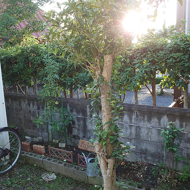 fukuさんの実例写真