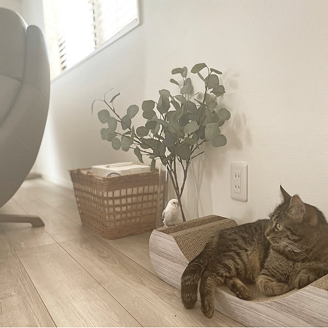 riyucoさんの実例写真