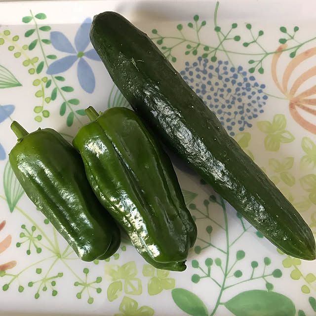hananokaoriさんの実例写真