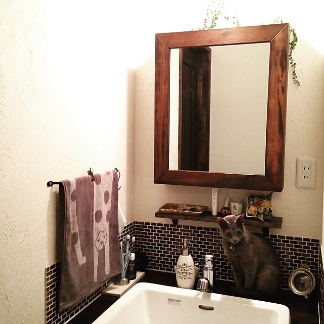 capelさんの実例写真