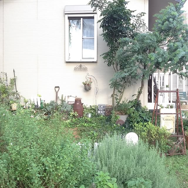 kohakuruさんの実例写真