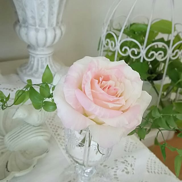 s.mamaさんの実例写真