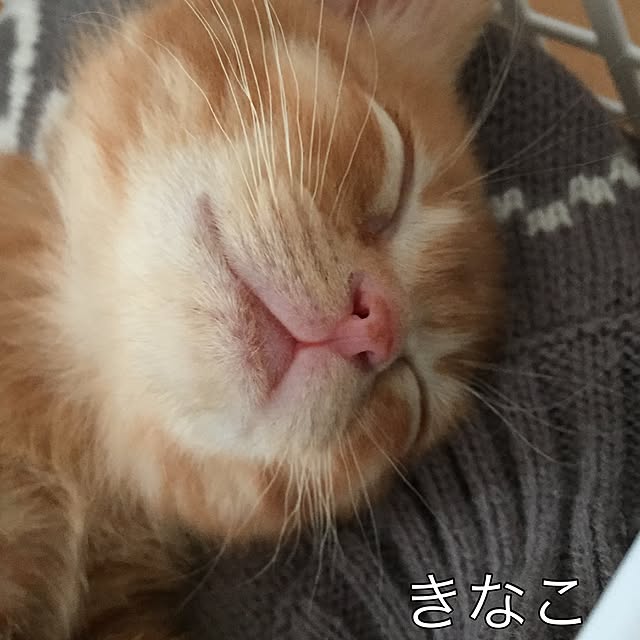 Hisashiさんの実例写真