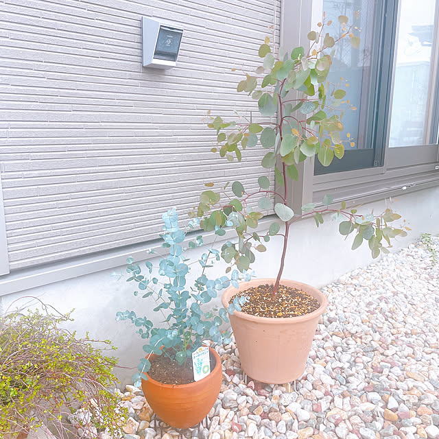 akiko-ovさんの部屋