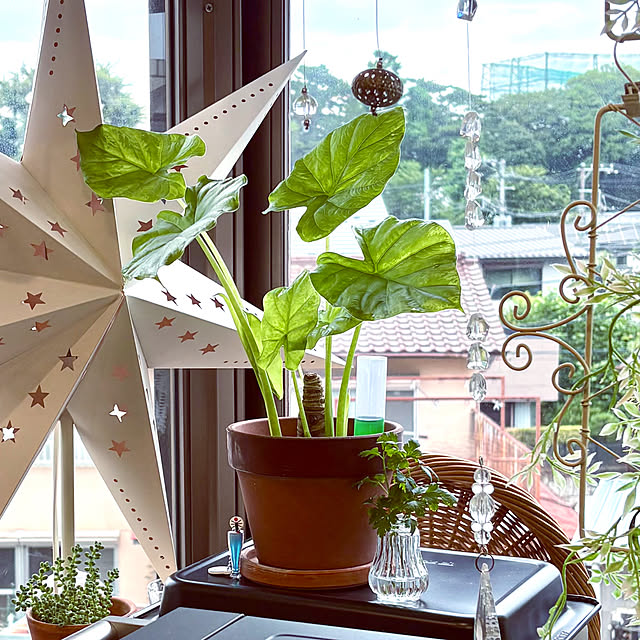 madamkaoriさんの部屋