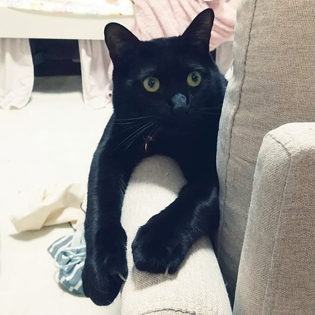 Tさんの実例写真
