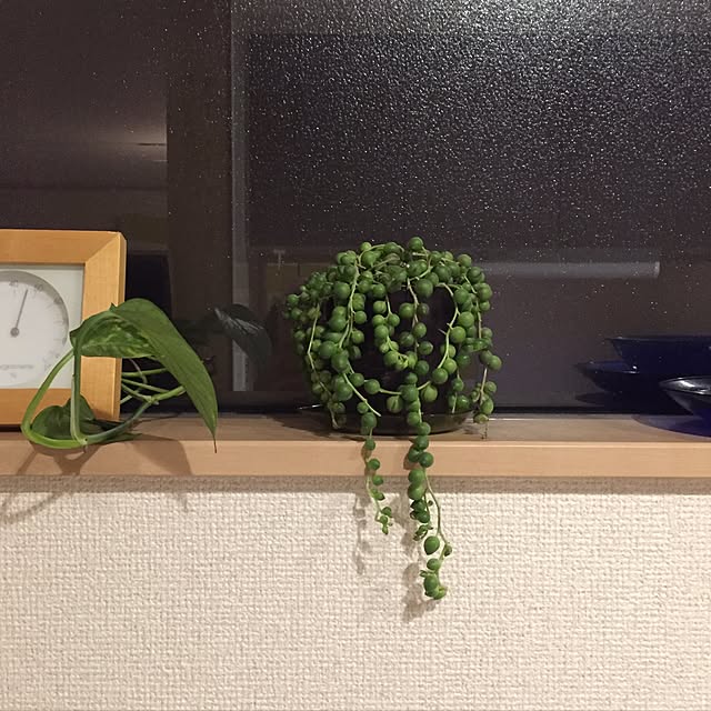 a_yumiさんの実例写真