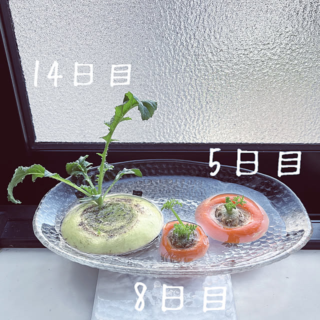 reika111さんの実例写真