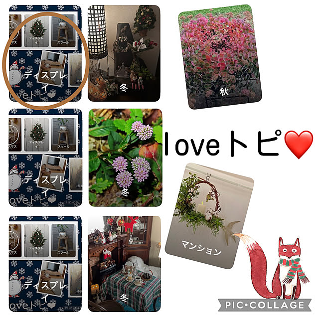 CoCo0617さんの実例写真