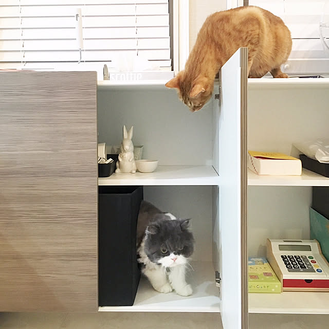 miyuさんの実例写真