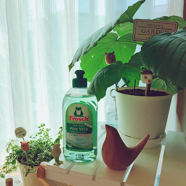 mangoさんの実例写真