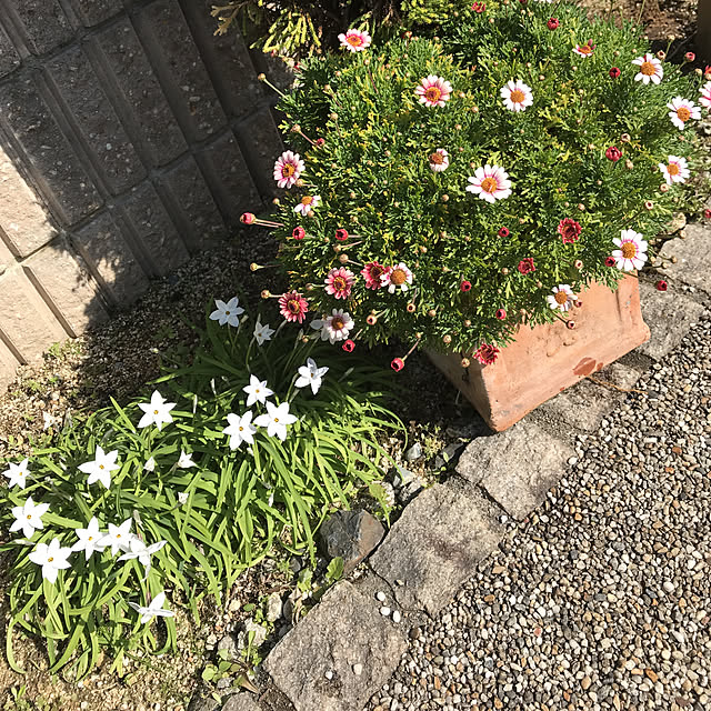 alchoさんの実例写真
