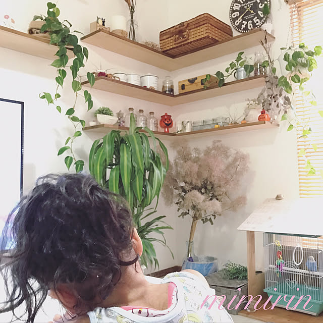 Mariさんの実例写真