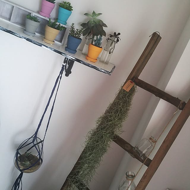 soraさんの実例写真