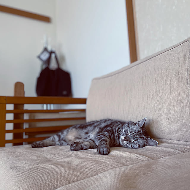 hiyupan88さんの実例写真