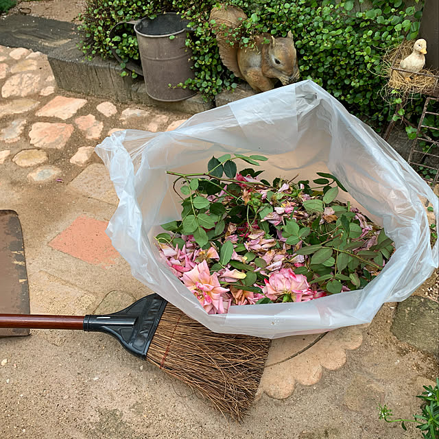 tabasaさんの実例写真