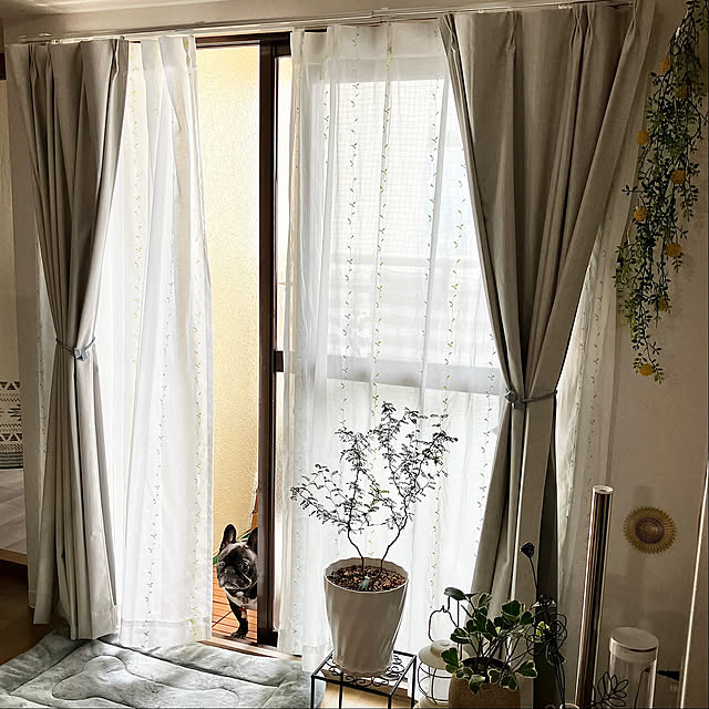 kagomamaさんの部屋