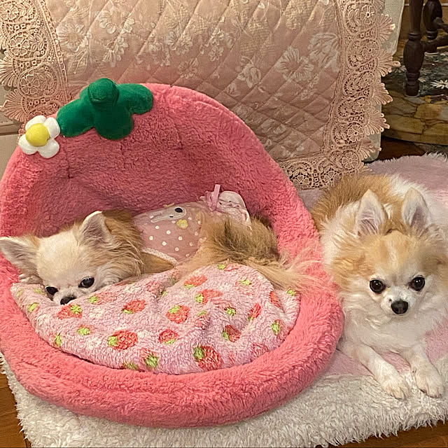saraminさんの実例写真
