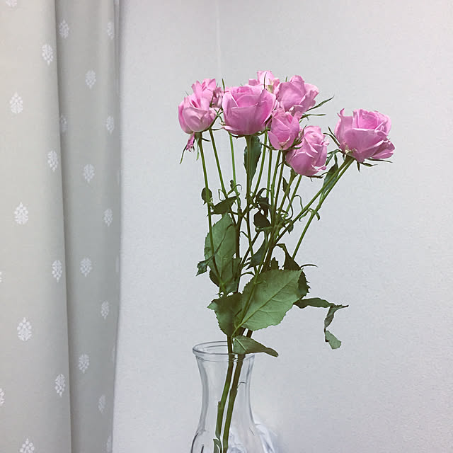 ASMさんの実例写真