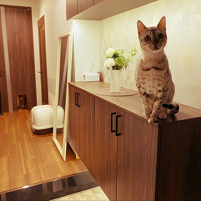 yuさんの実例写真