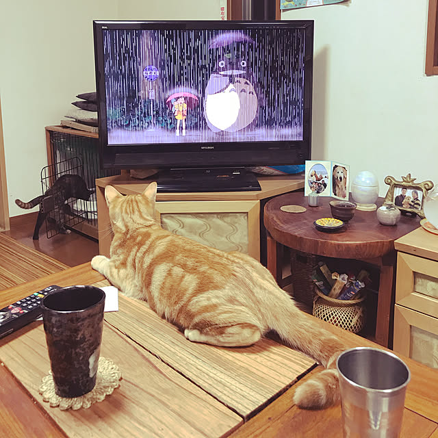 tornadeさんの実例写真