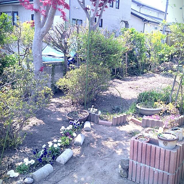 tibiさんの実例写真