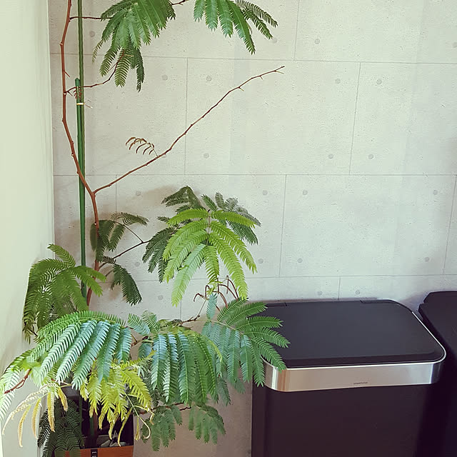 tsunさんの実例写真