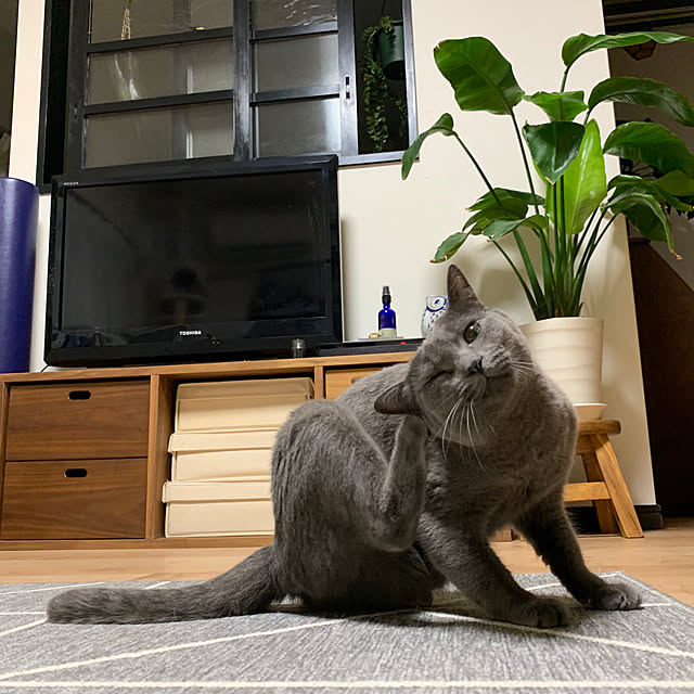73さんの実例写真