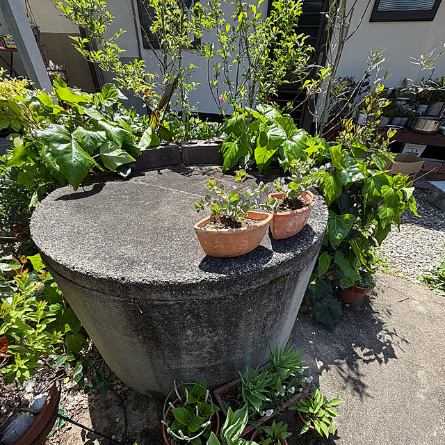 cotaさんの実例写真