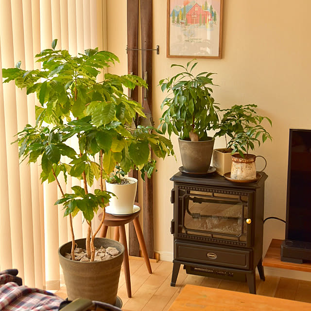 mikigumaさんの部屋