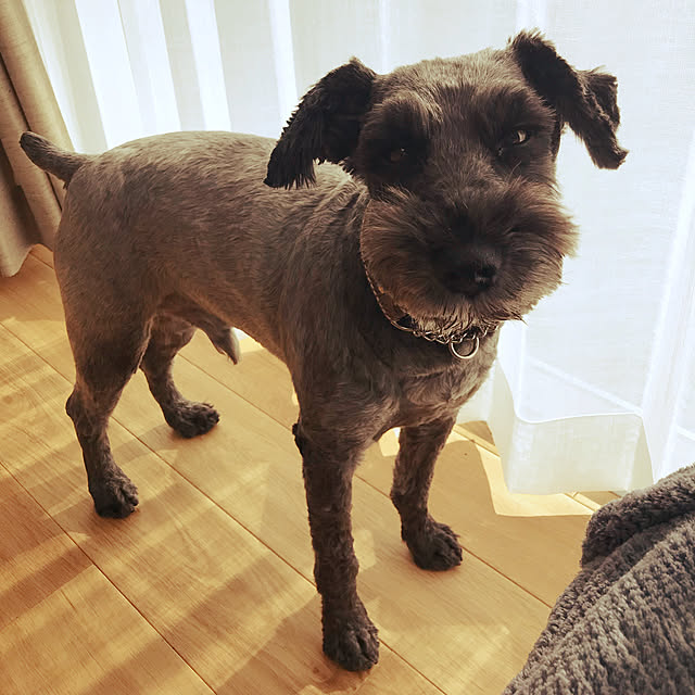 Haruさんの実例写真