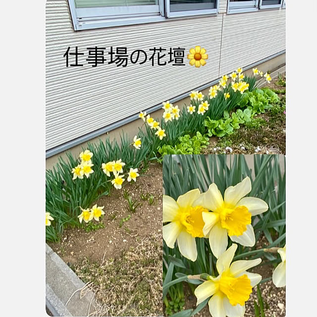 YuuKoさんの実例写真