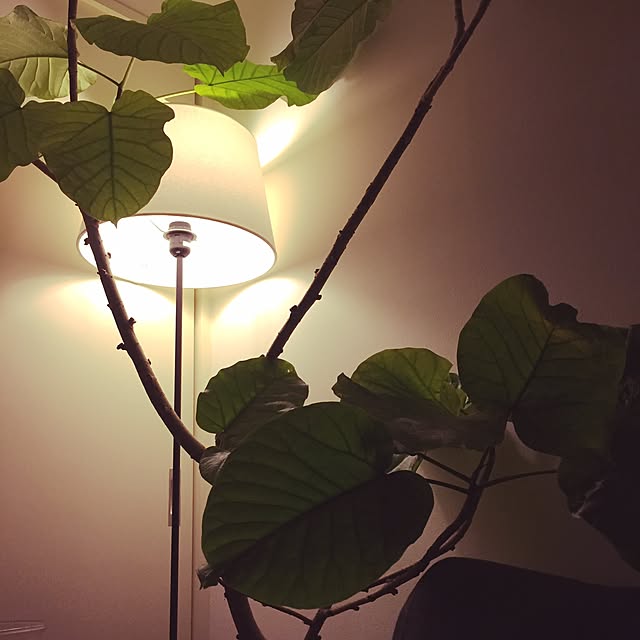 Tomohisaさんの実例写真